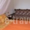 Hermis Studios_best prices_in_Hotel_Ionian Islands_Zakinthos_Laganas