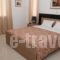 Palmira Apartments_best deals_Apartment_Crete_Lasithi_Makrys Gialos