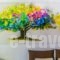 Nostalgia Home_travel_packages_in_Peloponesse_Argolida_Ermioni