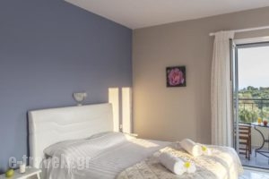 Nautilos Studios & Apartments_best prices_in_Apartment_Ionian Islands_Kefalonia_Kefalonia'st Areas