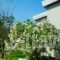 Sani Green Apartments_best deals_Apartment_Macedonia_Halkidiki_Kassandreia