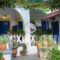 Alexandra Sofia_accommodation_in_Hotel_Sporades Islands_Skopelos_Skopelos Chora