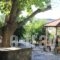 I.N.Kazantzakis_best deals_Hotel_Crete_Heraklion_Zaros