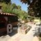 Elena Apartments & Studios_holidays_in_Apartment_Macedonia_Halkidiki_Chalkidiki Area