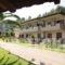 Elena Apartments & Studios_best deals_Apartment_Macedonia_Halkidiki_Chalkidiki Area