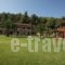 Elena Apartments & Studios_lowest prices_in_Apartment_Macedonia_Halkidiki_Chalkidiki Area