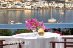 Paros Paradise Apartments_s __1