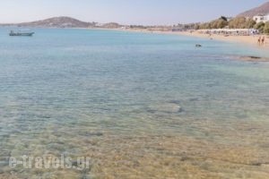 Katerina Babis Studios_travel_packages_in_Cyclades Islands_Naxos_Naxos Chora