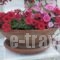 Corfu Anastasia_best deals_Hotel_Ionian Islands_Corfu_Corfu Rest Areas
