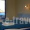 Regina Studios & Hotel_lowest prices_in_Hotel_Dodekanessos Islands_Karpathos_Karpathos Chora