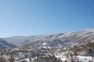 I Gonia Tis Linas_best deals_Hotel_Central Greece_Evritania_Karpenisi