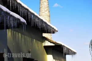 Nymfes_best prices_in_Hotel_Thessaly_Magnesia_Mouresi