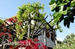 Papanestoras Apartments_s __1