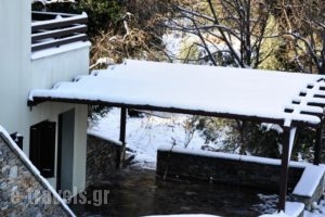 Nymfes_best deals_Hotel_Thessaly_Magnesia_Mouresi