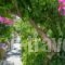 Missiria Apartments_best prices_in_Apartment_Crete_Rethymnon_Rethymnon City