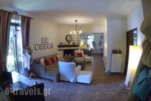 Boutique Hotel Kentrikon & Bungalows_lowest prices_in_Hotel_Thessaly_Magnesia_Mouresi