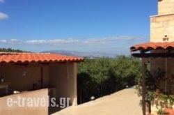 Villa Elina_s __1