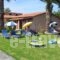 Vasilis Studios_lowest prices_in_Hotel_Ionian Islands_Corfu_Corfu Rest Areas