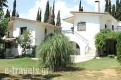 Katerina Apartments_s __1