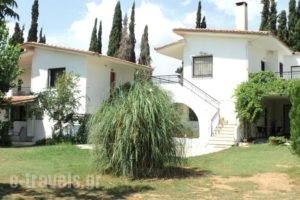 Katerina Apartments_accommodation_in_Apartment_Thessaly_Magnesia_Pilio Area