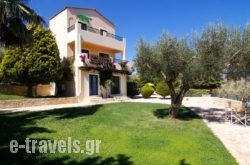 Villa Milli_s __1