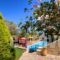 Villa Milli_holidays_in_Villa_Crete_Rethymnon_Rethymnon City