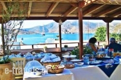 Grikos Hotel_s __1