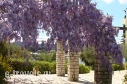 Alexandros & Gerekos Apartments_s __2