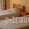 Alexandros & Gerekos Apartments_best prices_in_Apartment_Ionian Islands_Corfu_Kondokali