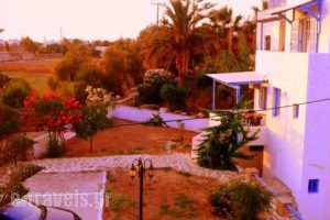 Villa Kelly Apartments_best deals_Villa_Cyclades Islands_Naxos_Naxos Chora