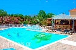 Zante 523_s __1