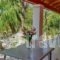 Apartments Villa Nina_travel_packages_in_Ionian Islands_Corfu_Afionas