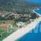 Villa Marina_best prices_in_Villa_Ionian Islands_Kefalonia_Kefalonia'st Areas