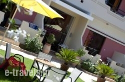Nikolas Suites_s __1