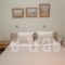 Villa Chris_travel_packages_in_Epirus_Preveza_Parga