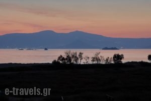 Marine Dream_travel_packages_in_Cyclades Islands_Naxos_Mikri Vigla
