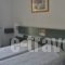 Amazones Sun Studios_holidays_in_Hotel_Crete_Heraklion_Gouves