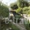 Emmy Villa Paleokastritsa_holidays_in_Villa_Ionian Islands_Corfu_Corfu Rest Areas