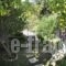 Emmy Villa Paleokastritsa_best deals_Villa_Ionian Islands_Corfu_Corfu Rest Areas