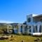 Akrotiraki Villas_best prices_in_Villa_Cyclades Islands_Tinos_Tinosora