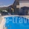 Studios Nikos_holidays_in_Hotel_Aegean Islands_Lesvos_Kalloni