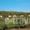 Agrabeli_best deals_Hotel_Ionian Islands_Zakinthos_Zakinthos Rest Areas