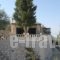 Oliviero Villas_best deals_Villa_Ionian Islands_Lefkada_Lefkada Rest Areas