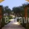 Paliokaliva Apartments And Villas_holidays_in_Villa_Ionian Islands_Zakinthos_Laganas