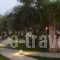 Paliokaliva Apartments And Villas_best prices_in_Villa_Ionian Islands_Zakinthos_Laganas