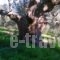 Holiday Home Froudaki 1_best prices_in_Hotel_Crete_Chania_Kissamos