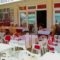Themis Hotel_best deals_Hotel_Macedonia_Pieria_Paralia Katerinis