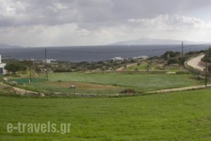 Lefki Villa_lowest prices_in_Villa_Cyclades Islands_Paros_Paros Chora