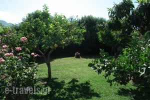 Stoupa'S Paradise_lowest prices_in_Hotel_Thessaly_Magnesia_Pilio Area