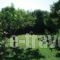 Stoupa'S Paradise_lowest prices_in_Hotel_Thessaly_Magnesia_Pilio Area